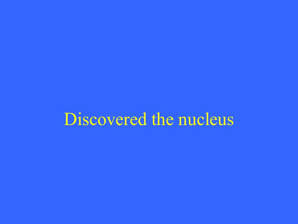 Discovered the nucleus