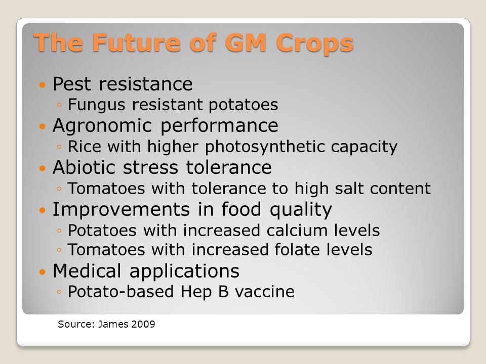 The Future of GM Crops Pest resistance ◦Fungus resistant potatoes Agronomic performance ◦Rice with higher photosynthetic capacity Abiotic stress tolerance ◦Tomatoes with tolerance to high salt content Improvements in food quality ◦Potatoes with increased calcium levels ◦Tomatoes with increased folate levels Medical applications ◦Potato-based Hep B vaccine Source: James 2009