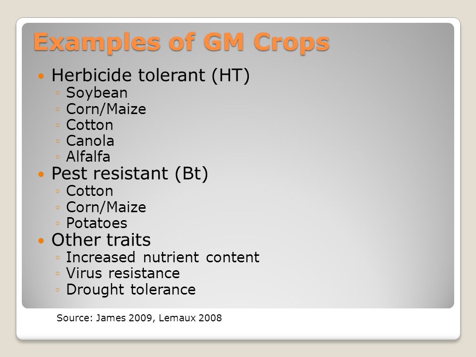 Examples of GM Crops Herbicide tolerant (HT) ◦Soybean ◦Corn/Maize ◦Cotton ◦Canola ◦Alfalfa Pest resistant (Bt) ◦Cotton ◦Corn/Maize ◦Potatoes Other traits ◦Increased nutrient content ◦Virus resistance ◦Drought tolerance Source: James 2009, Lemaux 2008