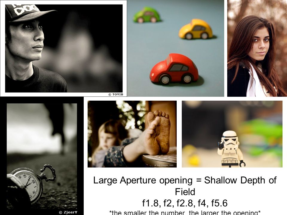 Large Aperture opening = Shallow Depth of Field f1.8, f2, f2.8, f4, f5.6 *the smaller the number, the larger the opening*