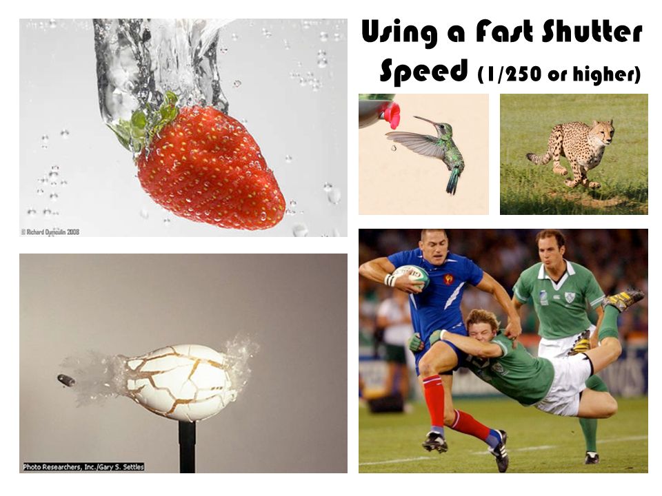 Using a Fast Shutter Speed (1/250 or higher)