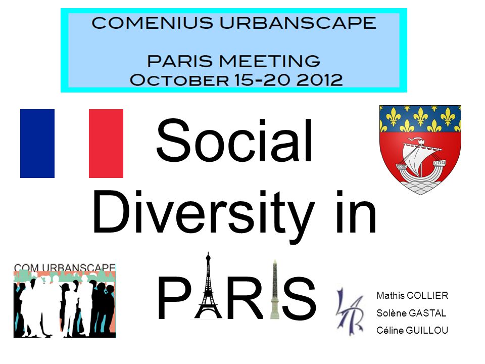 social diversity