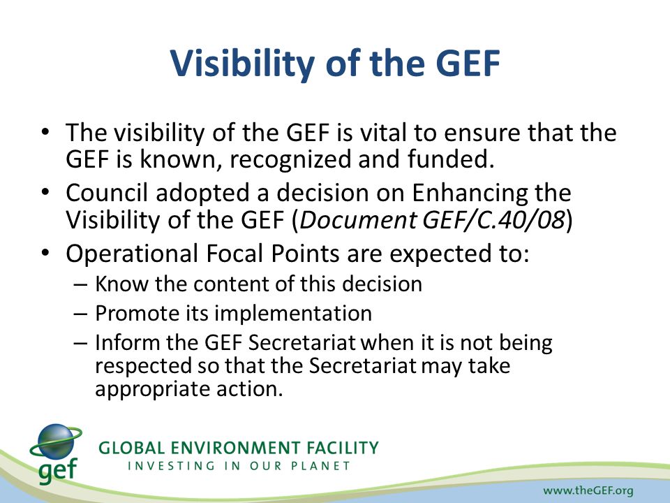 Visibility of the GEF The visibility of the GEF is vital to ensure that the GEF is known, recognized and funded.