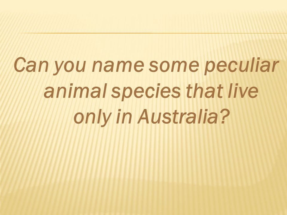 Can you name some peculiar animal species that live only in Australia