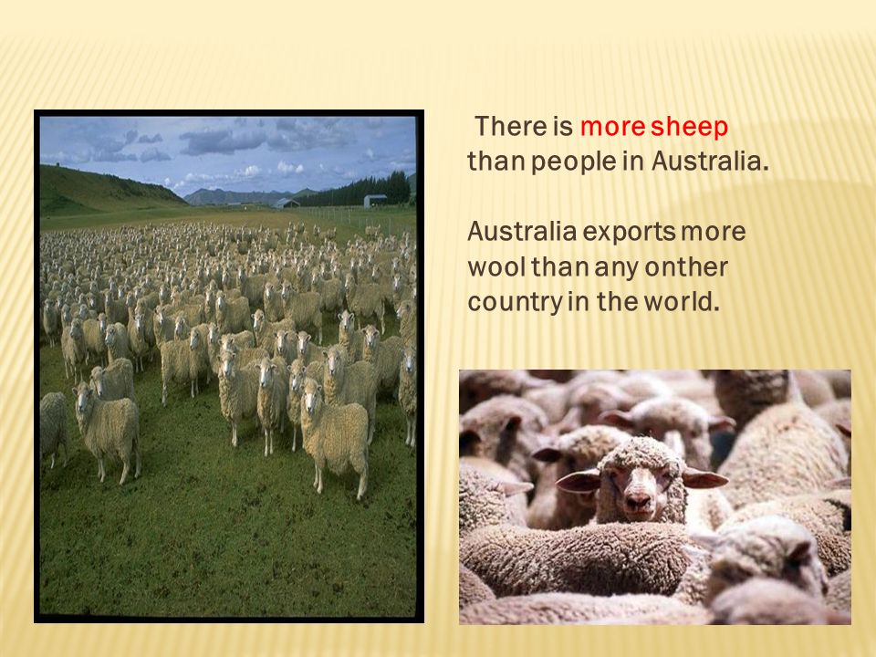 There is more sheep than people in Australia.
