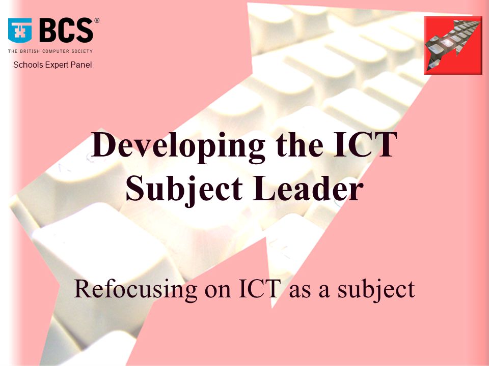Schools Expert Panel Developing the ICT Subject Leader Refocusing on ICT as a subject