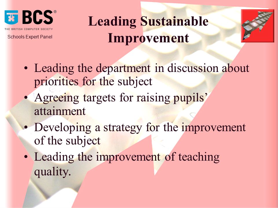 Schools Expert Panel Leading Sustainable Improvement Leading the department in discussion about priorities for the subject Agreeing targets for raising pupils’ attainment Developing a strategy for the improvement of the subject Leading the improvement of teaching quality.