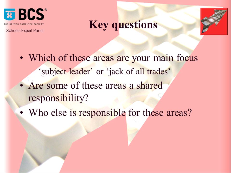 Schools Expert Panel Key questions Which of these areas are your main focus –‘subject leader’ or ‘jack of all trades’ Are some of these areas a shared responsibility.