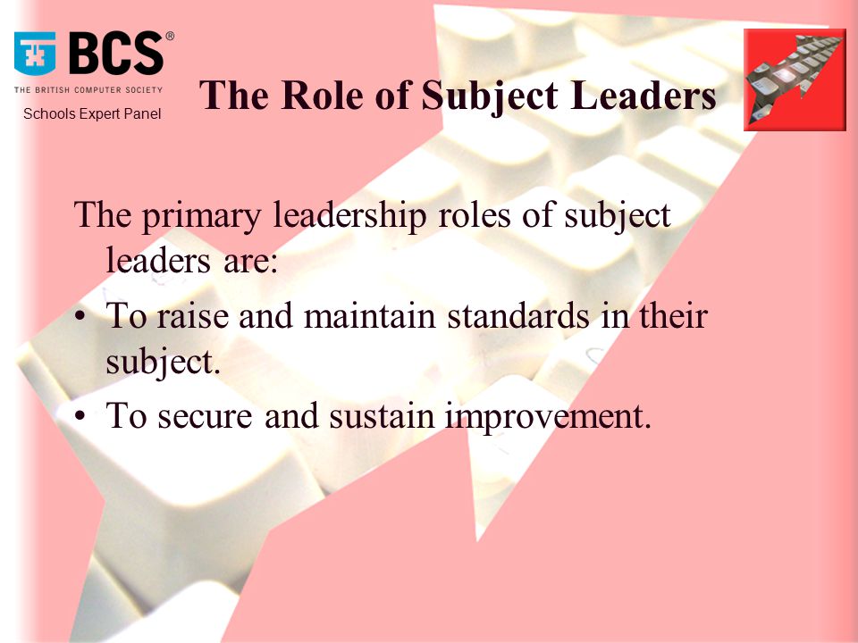 Schools Expert Panel The Role of Subject Leaders The primary leadership roles of subject leaders are: To raise and maintain standards in their subject.