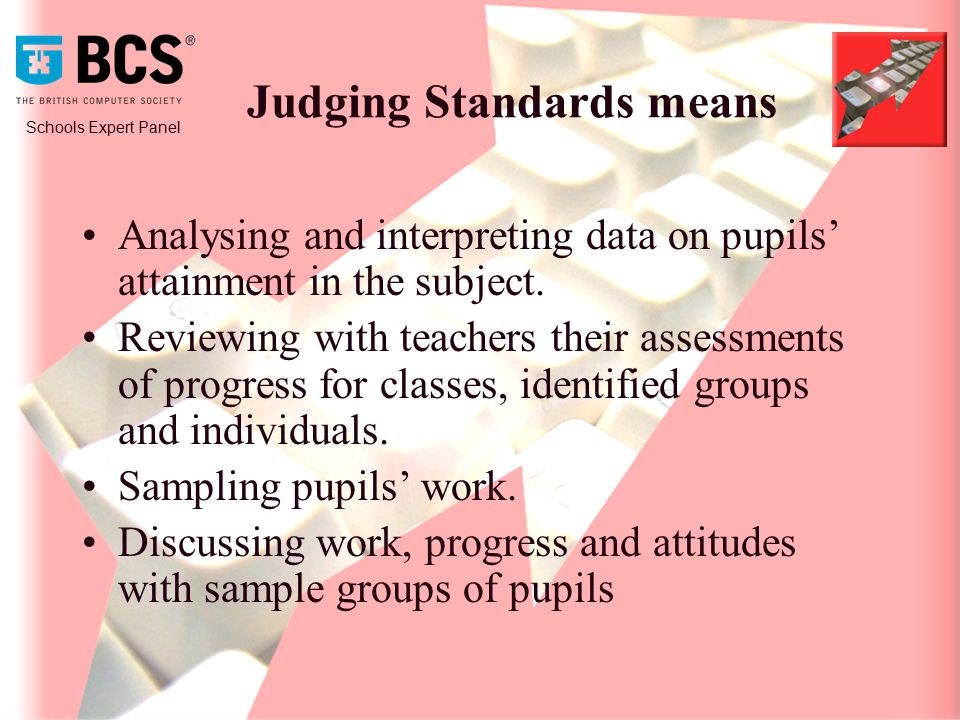 Schools Expert Panel Judging Standards means Analysing and interpreting data on pupils’ attainment in the subject.