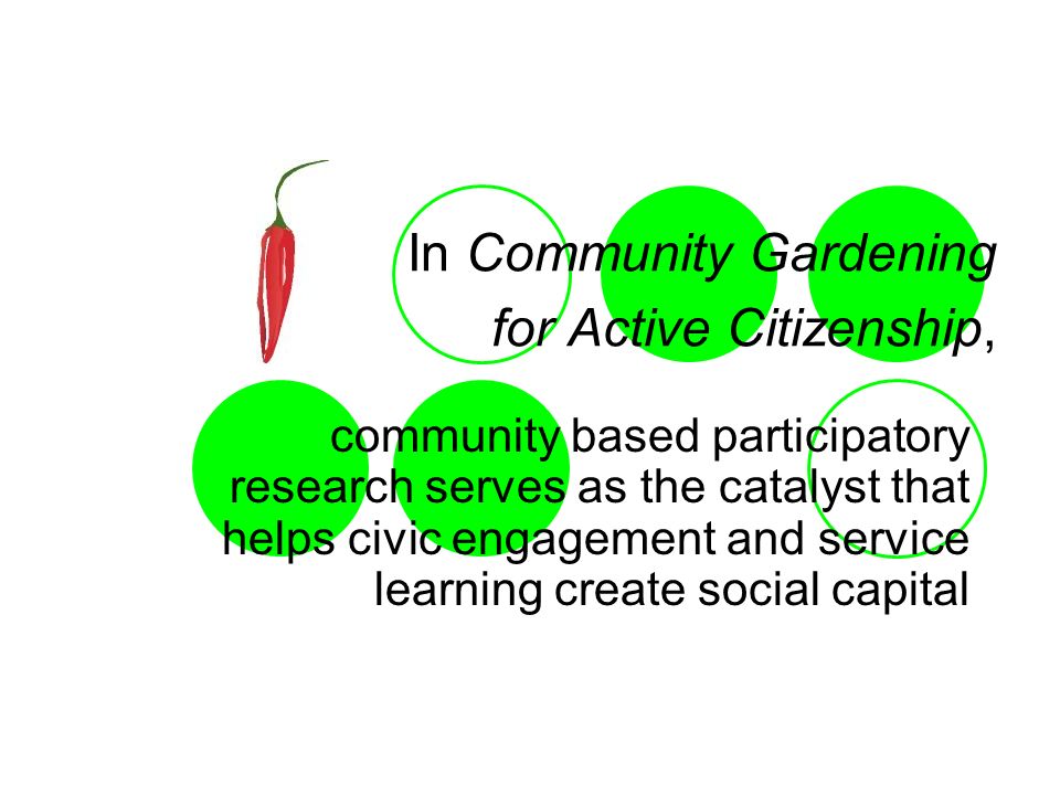 community based participatory research essay community based participatory research essay