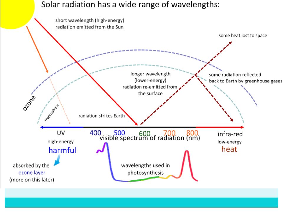 ib biology greenhouse effect notes ib biology greenhouse effect notes