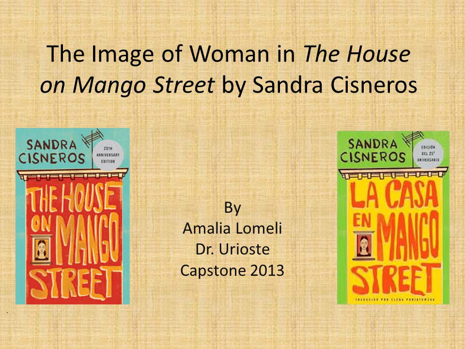 The House On Mango Street Essay