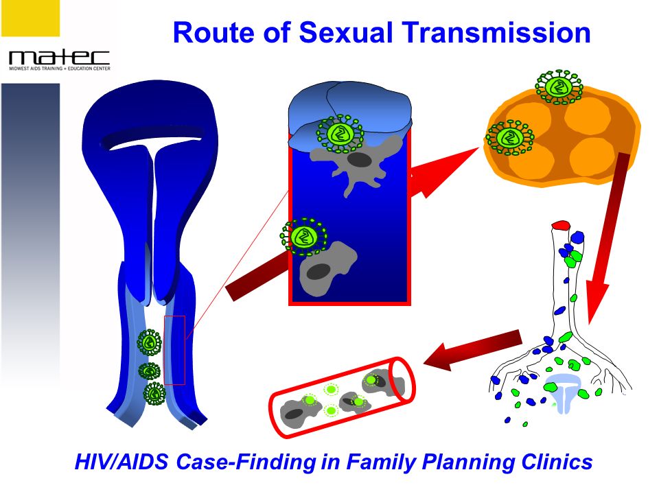 HIV/AIDS Case-Finding in Family Planning Clinics Route of Sexual Transmission