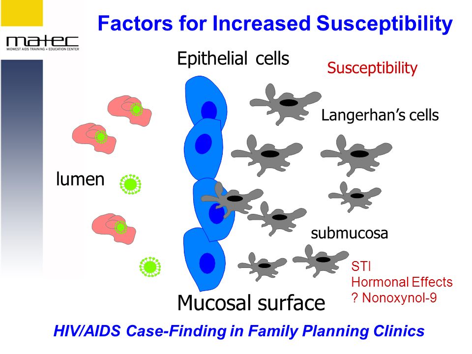 HIV/AIDS Case-Finding in Family Planning Clinics Epithelial cells Langerhan’s cells submucosa Mucosal surface lumen Susceptibility STI Hormonal Effects .