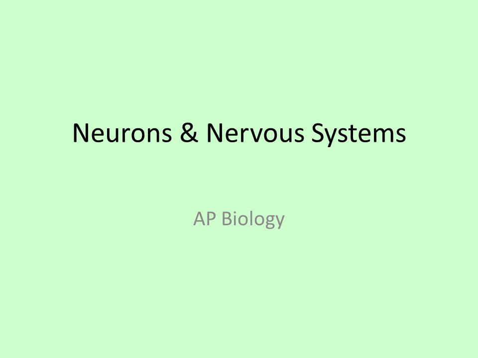 anatomy essays