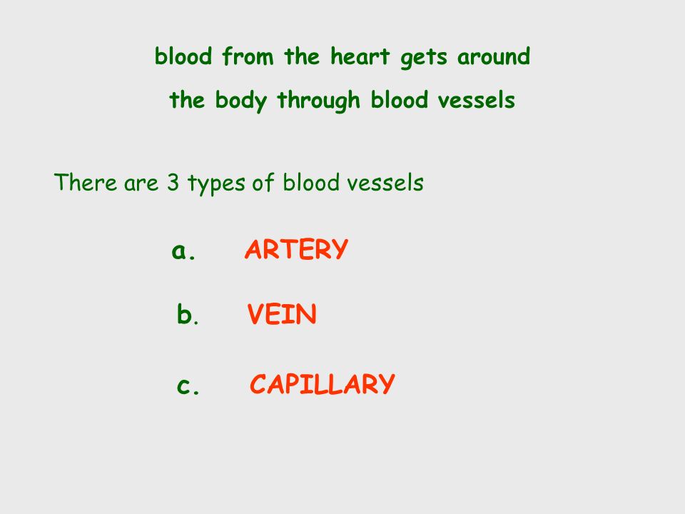How does the Heart work. The valves close to stop blood flowing backwards.