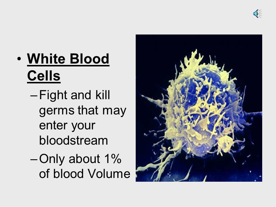 Red Blood Cells contain haemoglobin, a molecule specially designed to hold oxygen and carry it to cells that need it.