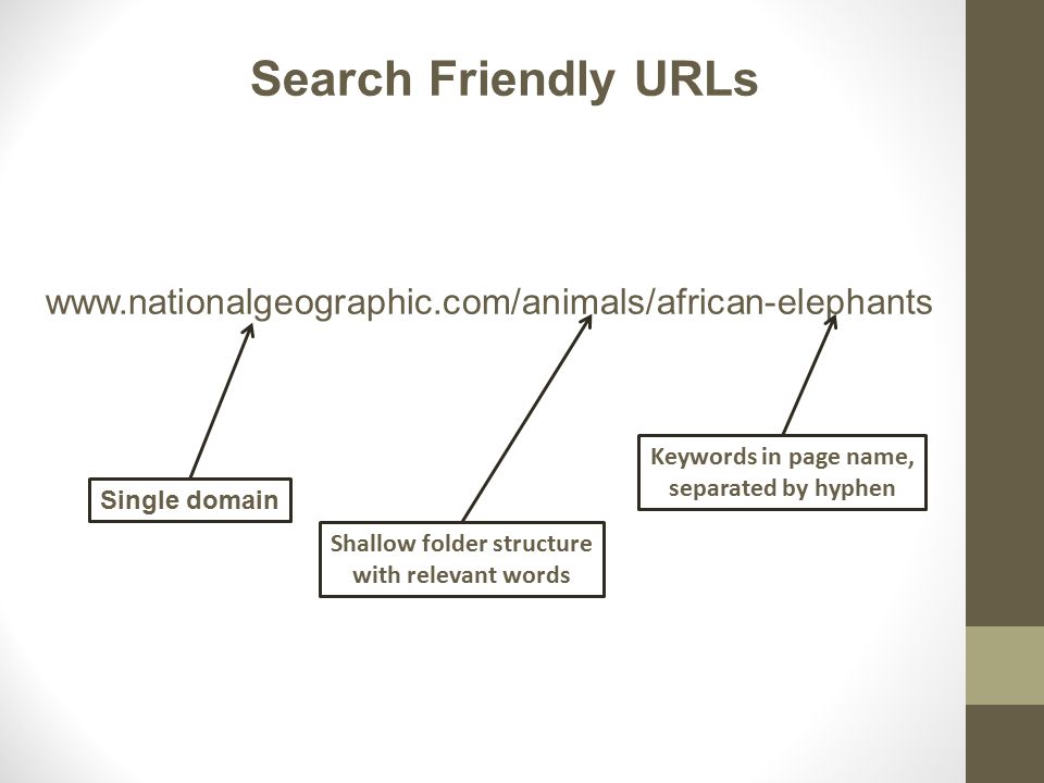 Search Friendly URLs   Single domain Shallow folder structure with relevant words Keywords in page name, separated by hyphen