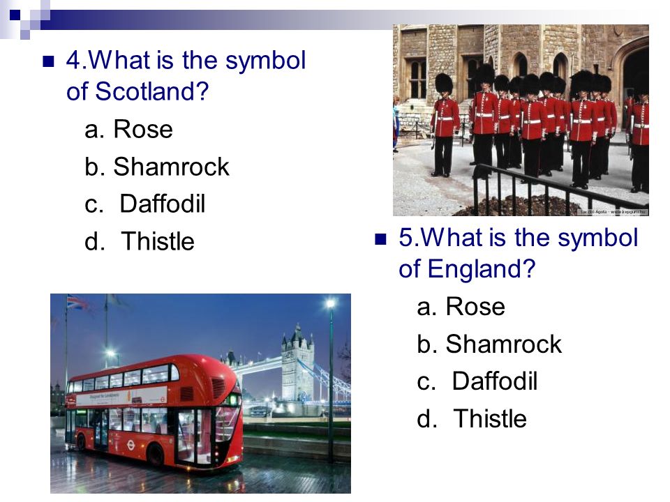 4.What is the symbol of Scotland. a. Rose b. Shamrock c.