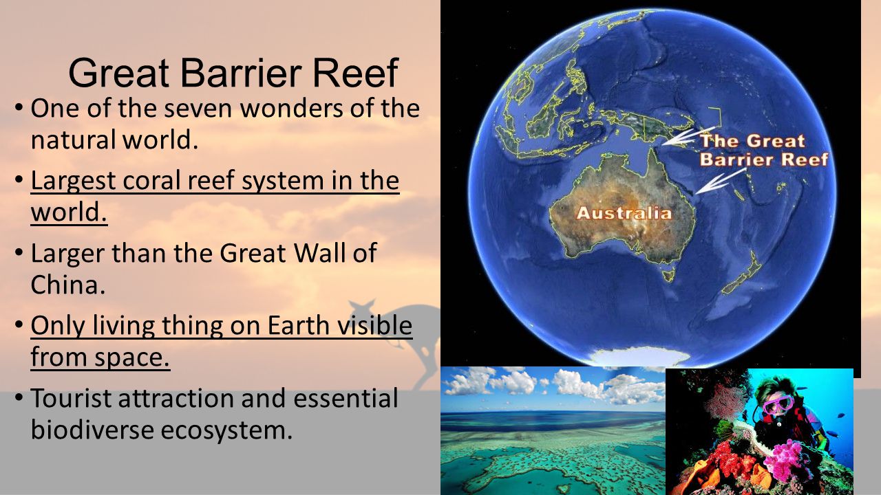 Great Barrier Reef One of the seven wonders of the natural world.