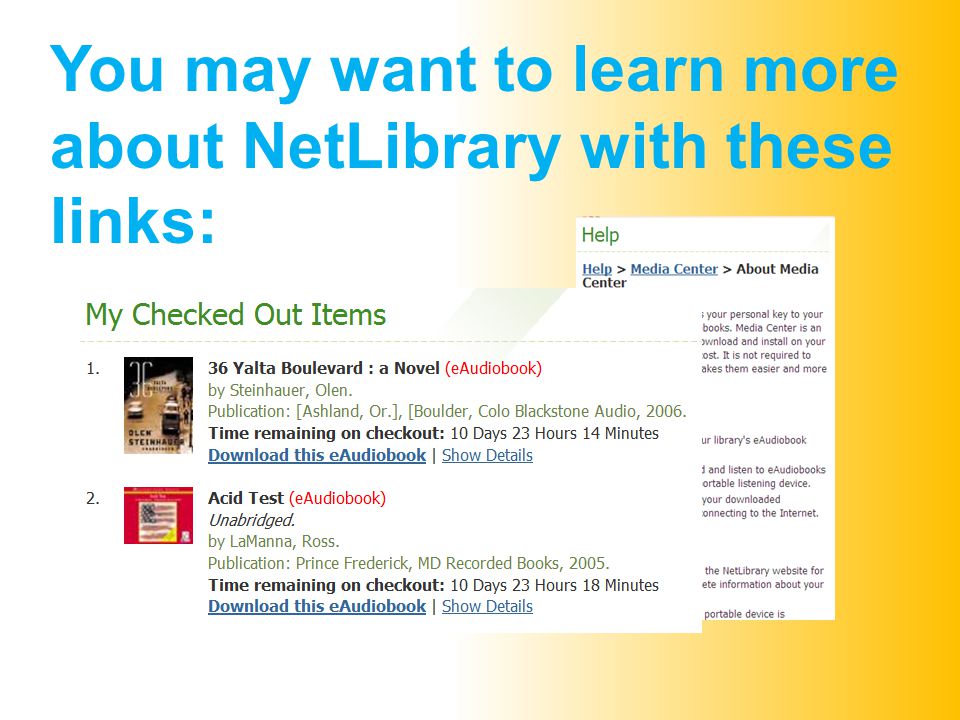 You may want to learn more about NetLibrary with these links: