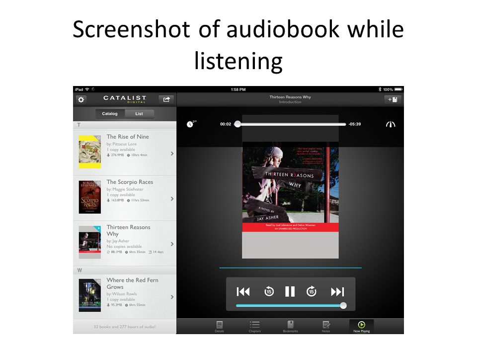 Screenshot of audiobook while listening