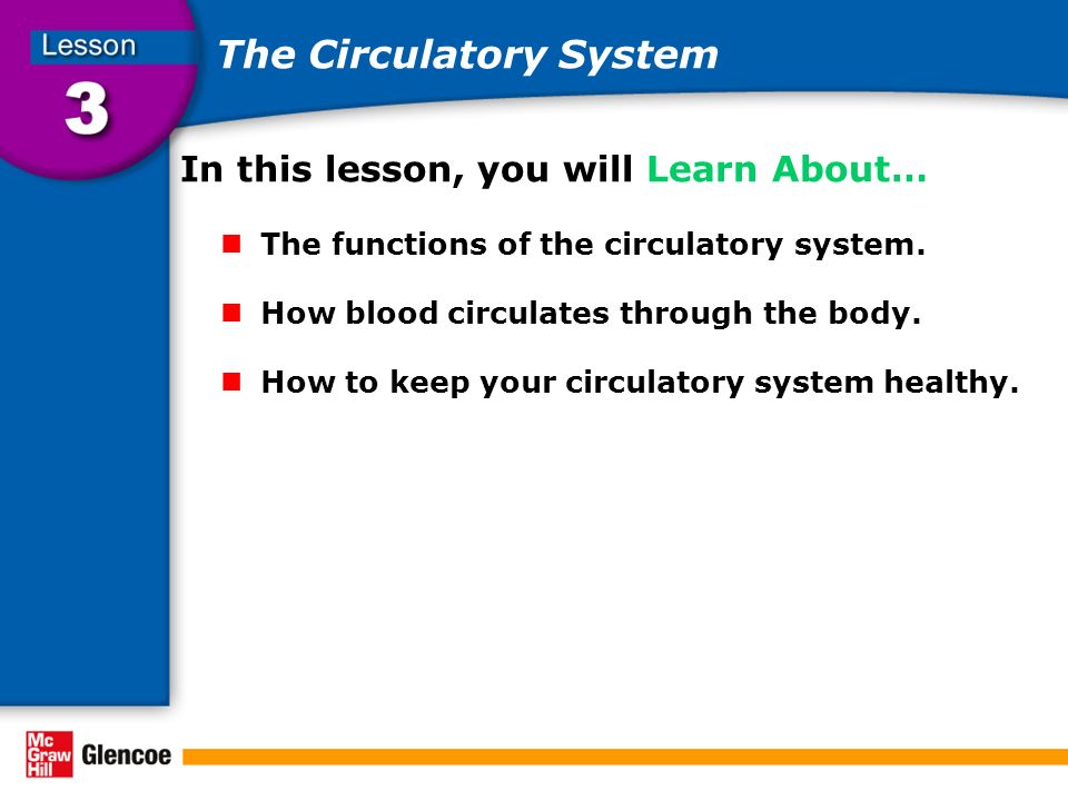 The Circulatory System In this lesson, you will Learn About… The functions of the circulatory system.
