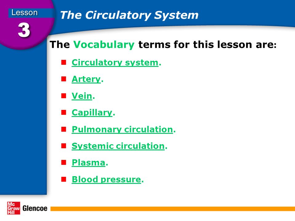 The Circulatory System The Vocabulary terms for this lesson are : Circulatory system.