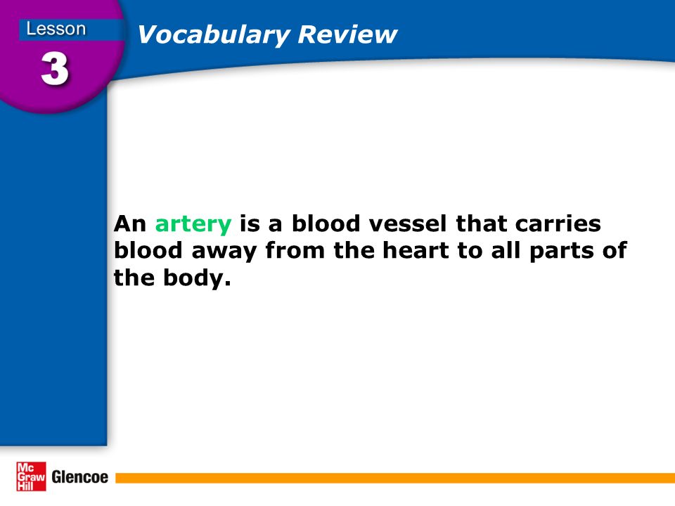 Vocabulary Review An artery is a blood vessel that carries blood away from the heart to all parts of the body.