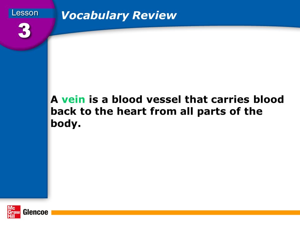 Vocabulary Review A vein is a blood vessel that carries blood back to the heart from all parts of the body.