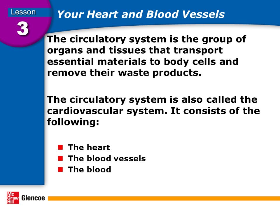 Your Heart and Blood Vessels The circulatory system is the group of organs and tissues that transport essential materials to body cells and remove their waste products.