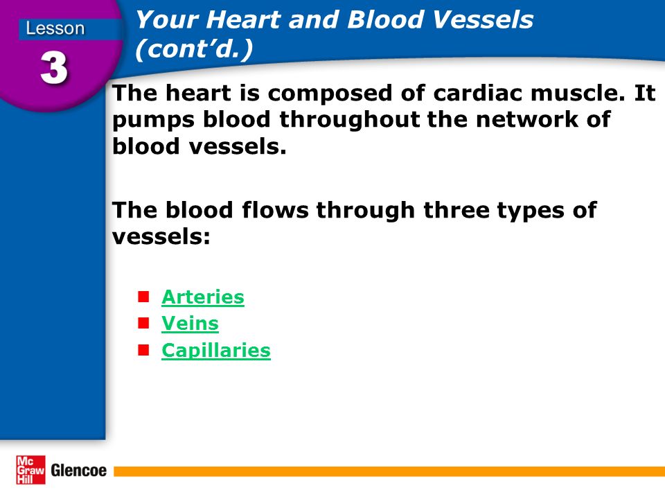Your Heart and Blood Vessels (cont’d.) The heart is composed of cardiac muscle.