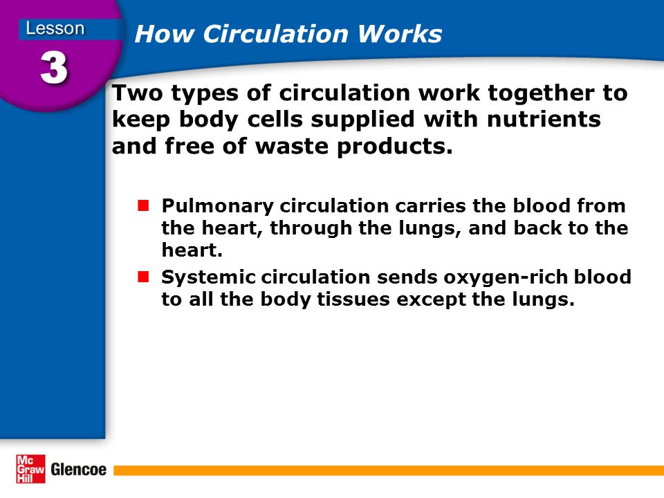 How Circulation Works Two types of circulation work together to keep body cells supplied with nutrients and free of waste products.