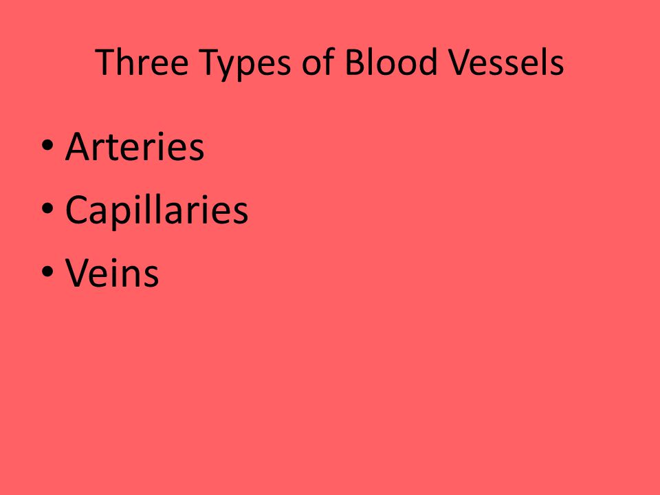 Three Types of Blood Vessels Arteries Capillaries Veins