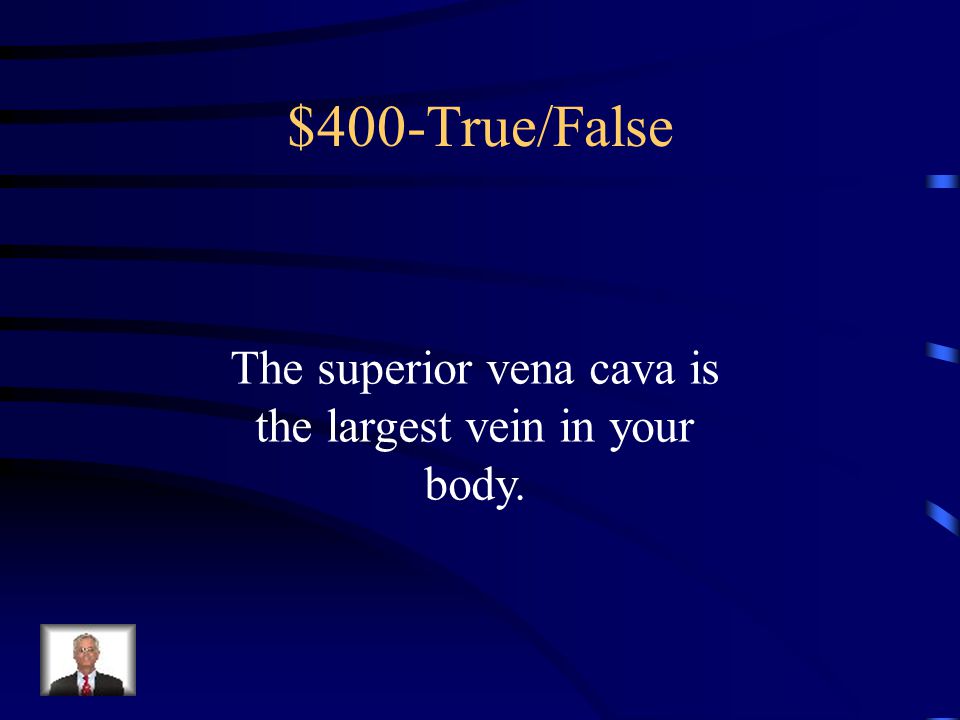 True/False-$300 What is false