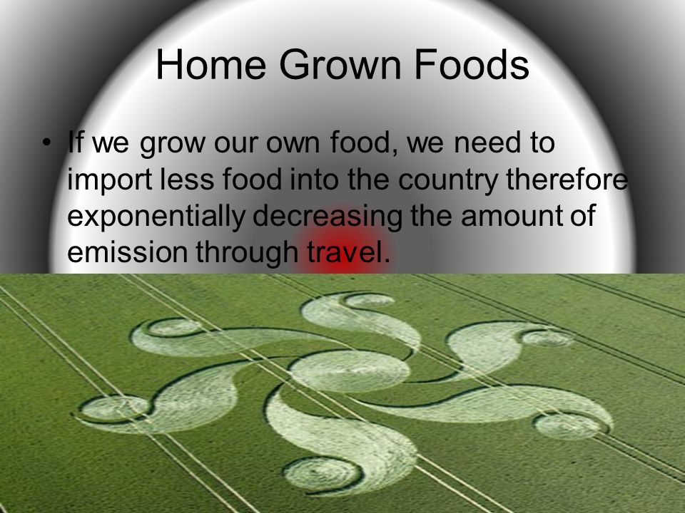 Home Grown Foods If we grow our own food, we need to import less food into the country therefore exponentially decreasing the amount of emission through travel.
