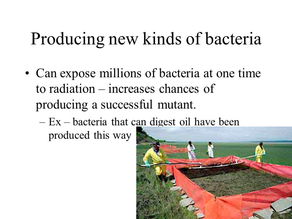 Producing new kinds of bacteria Can expose millions of bacteria at one time to radiation – increases chances of producing a successful mutant.