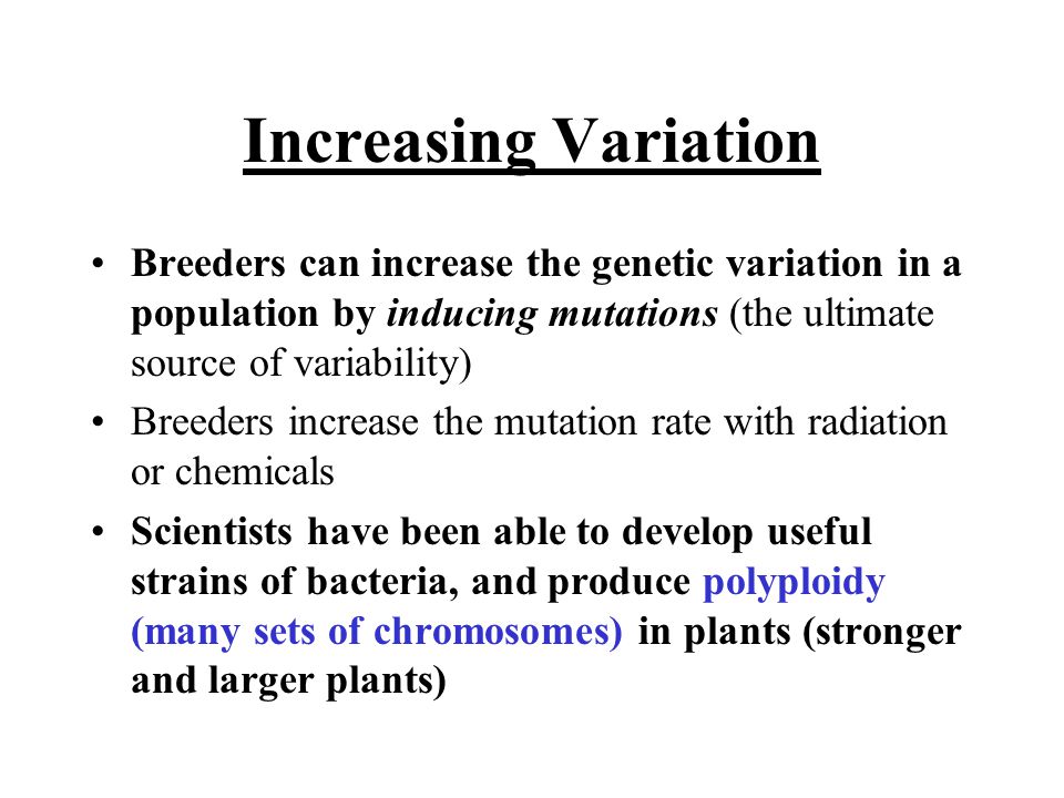 Increasing Variation Breeders can increase the genetic variation in a population by inducing mutations (the ultimate source of variability) Breeders increase the mutation rate with radiation or chemicals Scientists have been able to develop useful strains of bacteria, and produce polyploidy (many sets of chromosomes) in plants (stronger and larger plants)