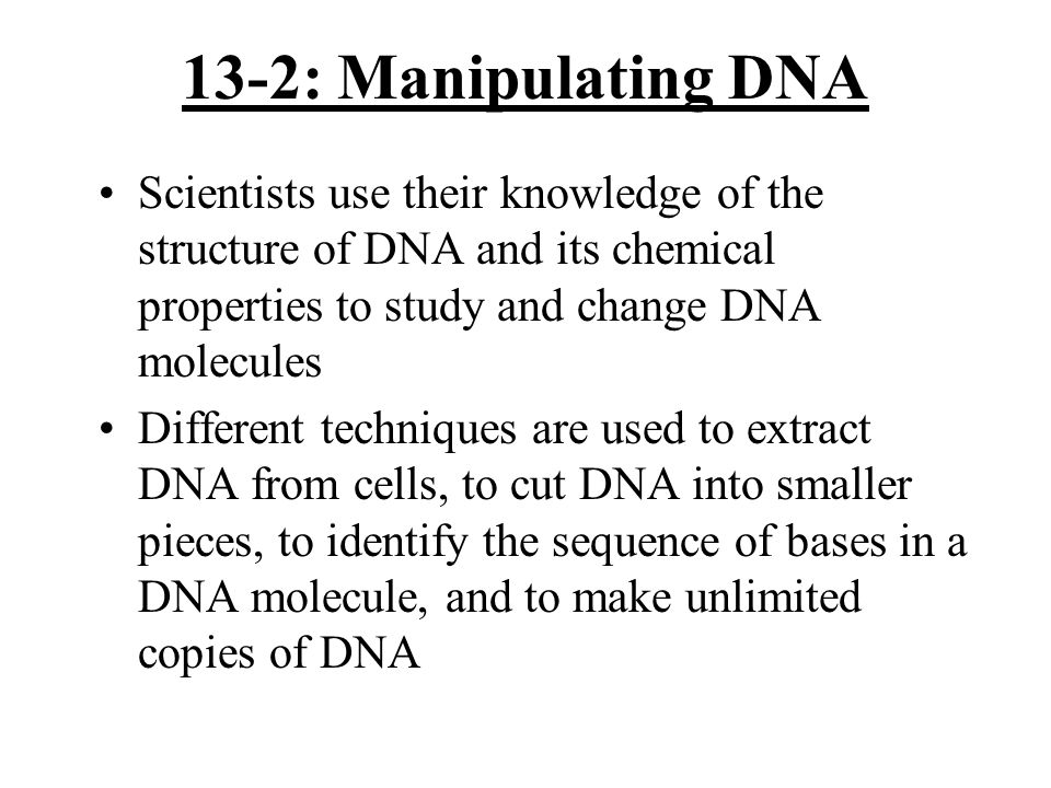 13-2: Manipulating DNA Scientists use their knowledge of the structure of DNA and its chemical properties to study and change DNA molecules Different techniques are used to extract DNA from cells, to cut DNA into smaller pieces, to identify the sequence of bases in a DNA molecule, and to make unlimited copies of DNA