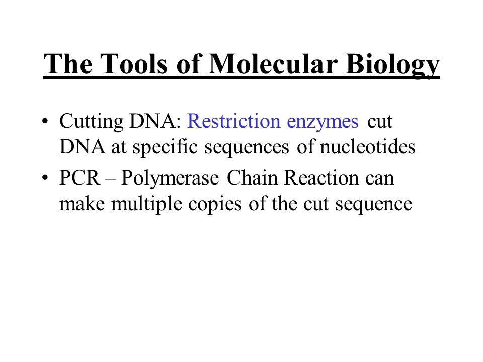 The Tools of Molecular Biology Cutting DNA: Restriction enzymes cut DNA at specific sequences of nucleotides PCR – Polymerase Chain Reaction can make multiple copies of the cut sequence