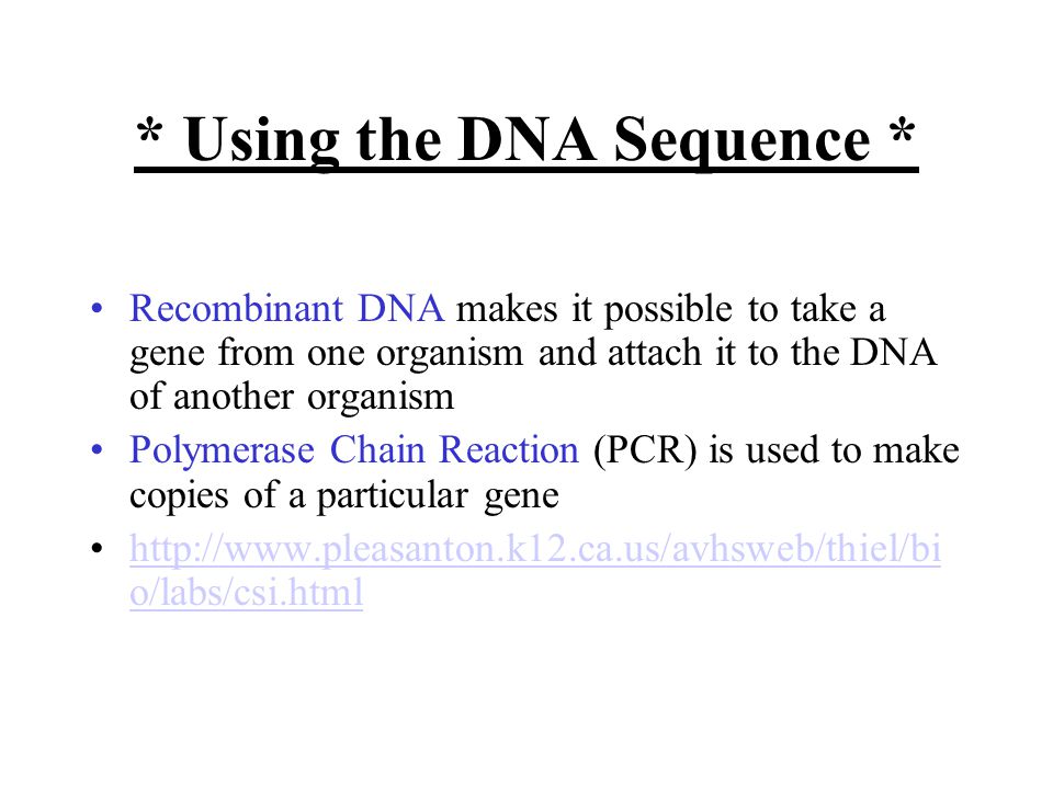 * Using the DNA Sequence * Recombinant DNA makes it possible to take a gene from one organism and attach it to the DNA of another organism Polymerase Chain Reaction (PCR) is used to make copies of a particular gene   o/labs/csi.htmlhttp://  o/labs/csi.html