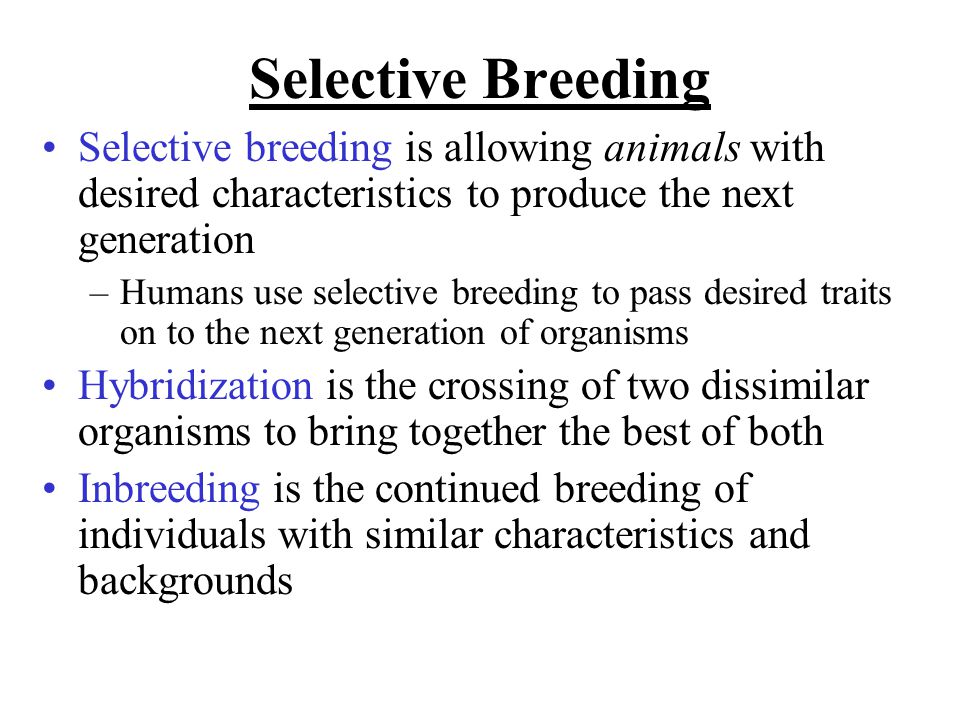 Selective Breeding Selective breeding is allowing animals with desired characteristics to produce the next generation –Humans use selective breeding to pass desired traits on to the next generation of organisms Hybridization is the crossing of two dissimilar organisms to bring together the best of both Inbreeding is the continued breeding of individuals with similar characteristics and backgrounds