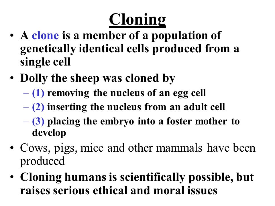 A clone is a member of a population of genetically identical cells produced from a single cell Dolly the sheep was cloned by –(1) removing the nucleus of an egg cell –(2) inserting the nucleus from an adult cell –(3) placing the embryo into a foster mother to develop Cows, pigs, mice and other mammals have been produced Cloning humans is scientifically possible, but raises serious ethical and moral issues