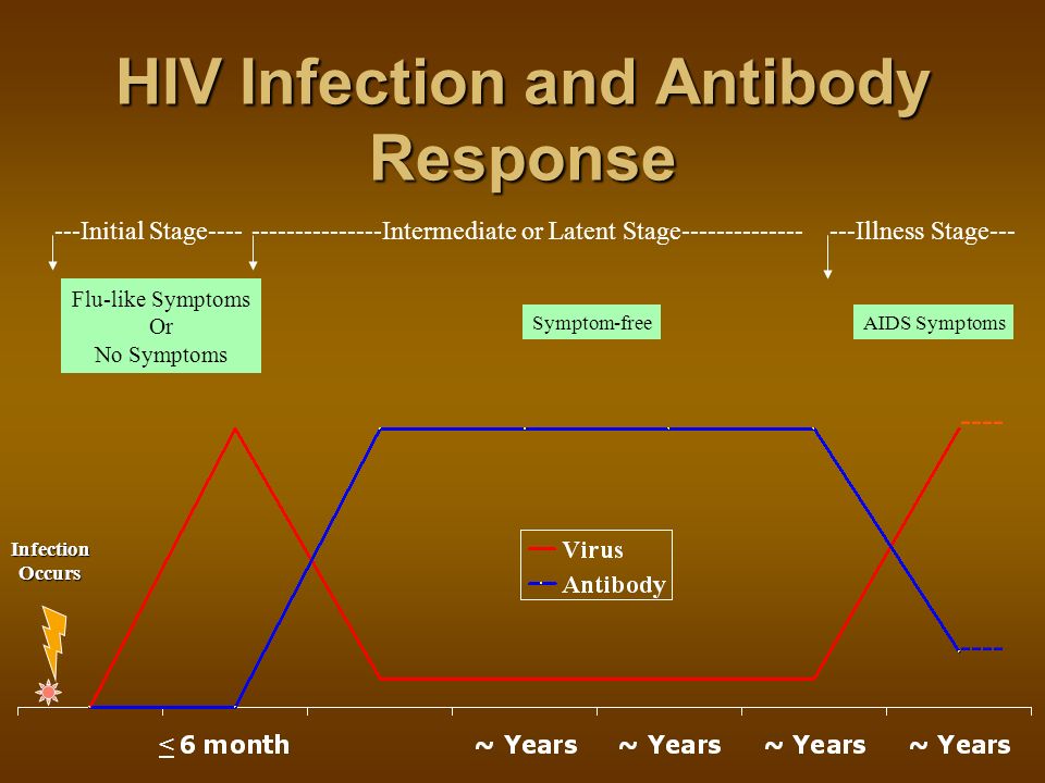 Window Period This is the period of time after becoming infected when an HIV test is negative This is the period of time after becoming infected when an HIV test is negative 90 percent of cases test positive within three months of exposure 90 percent of cases test positive within three months of exposure 10 percent of cases test positive within three to six months of exposure 10 percent of cases test positive within three to six months of exposure