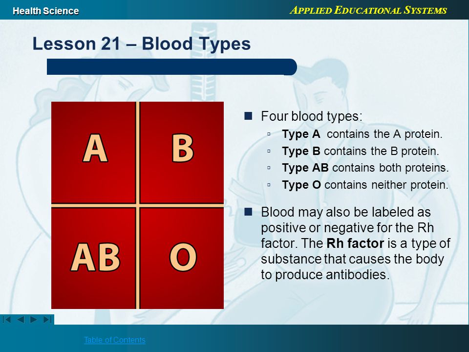 A PPLIED E DUCATIONAL S YSTEMS Health Science Table of Contents Lesson 21 – Blood Types Four blood types: ▫Type A contains the A protein.