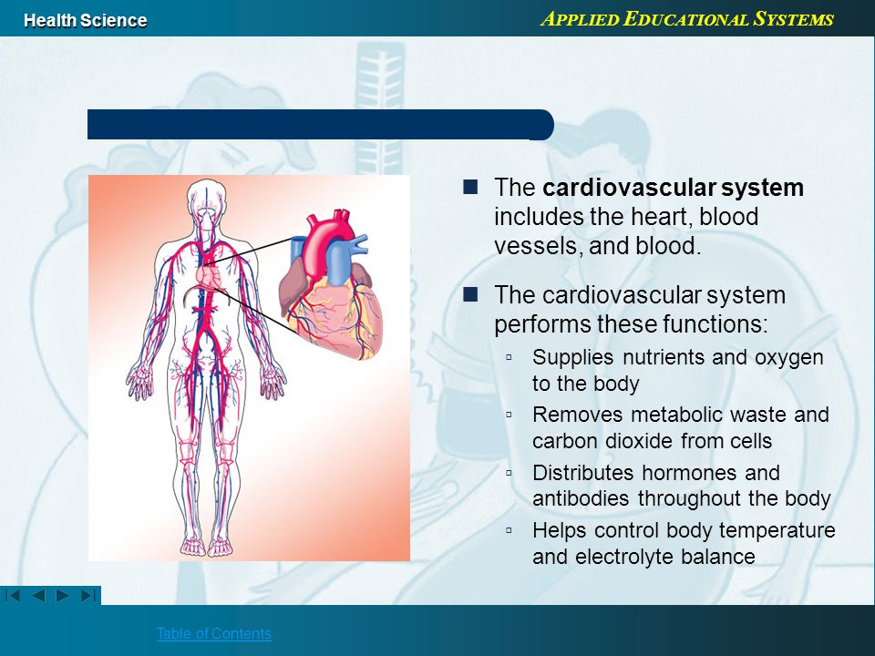 A PPLIED E DUCATIONAL S YSTEMS Health Science Table of Contents The cardiovascular system includes the heart, blood vessels, and blood.