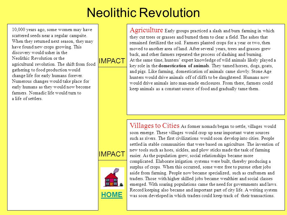 Neolithic revolution essay pdf