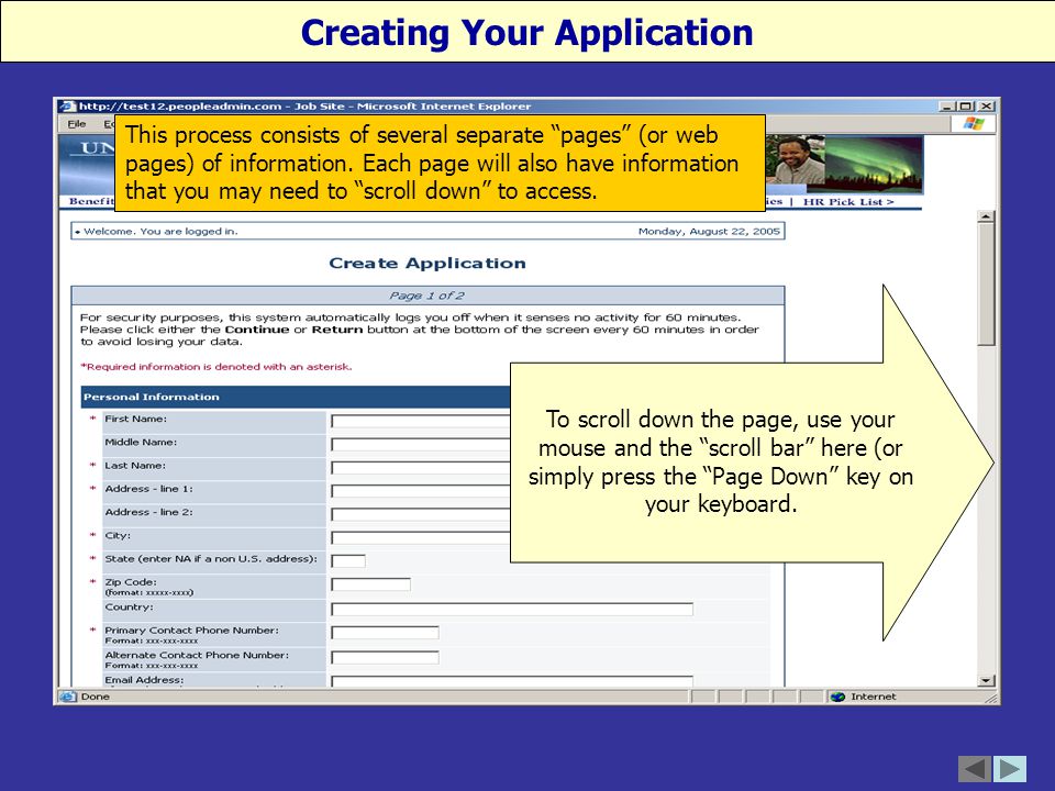 This process consists of several separate pages (or web pages) of information.
