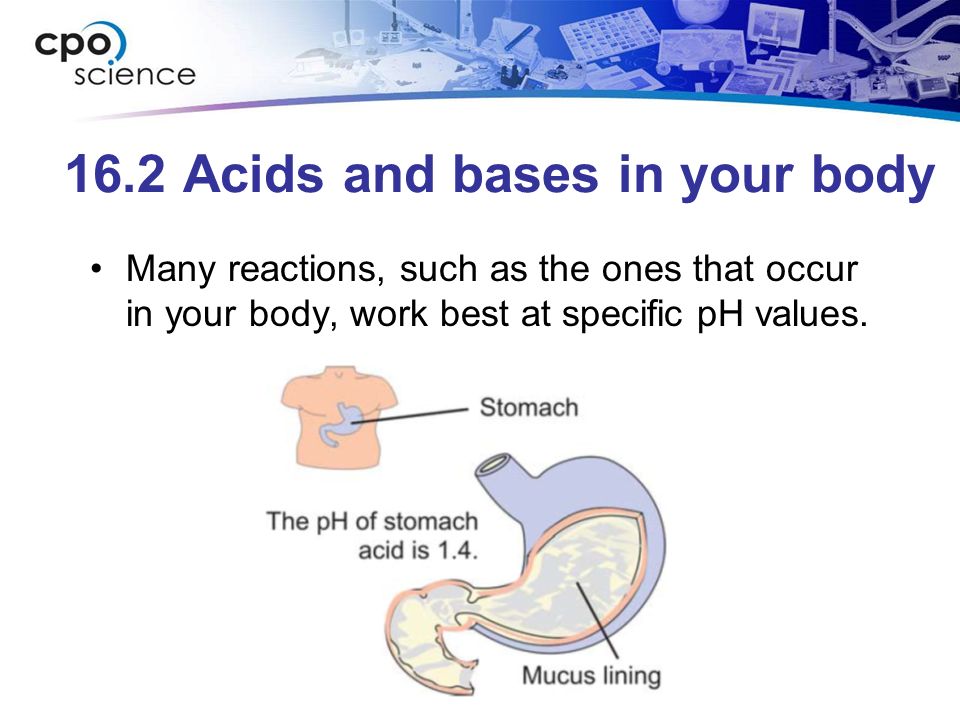 16.2 Acids and bases in your body Many reactions, such as the ones that occur in your body, work best at specific pH values.